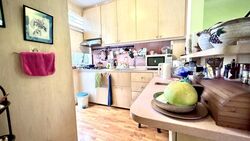 Corona Ville (D10), Condominium #478400441